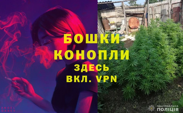 амф Белокуриха