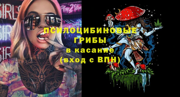 PSILOCYBIN Белоозёрский