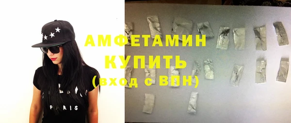 прущие грибы Балахна