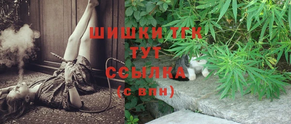 стаф Беломорск