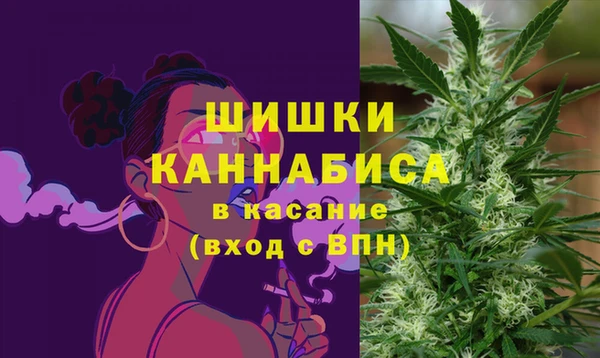амф Белокуриха