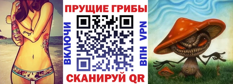 Псилоцибиновые грибы Cubensis  Магас 